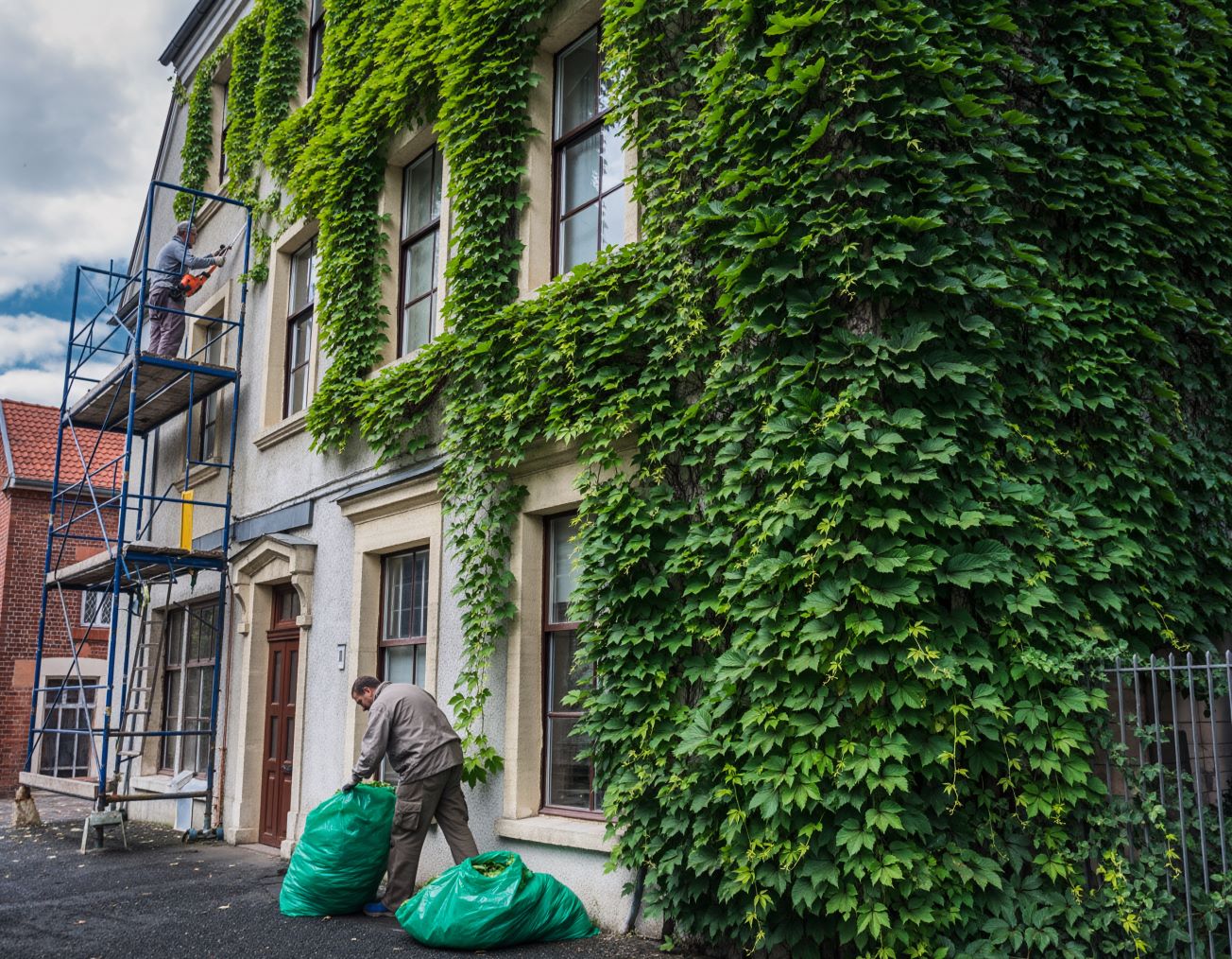 Dach- und Fassadenfreischnitt